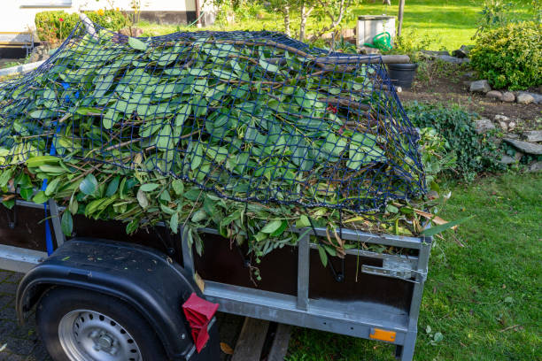 Best Yard Waste Removal  in Ranchos De Taos, NM